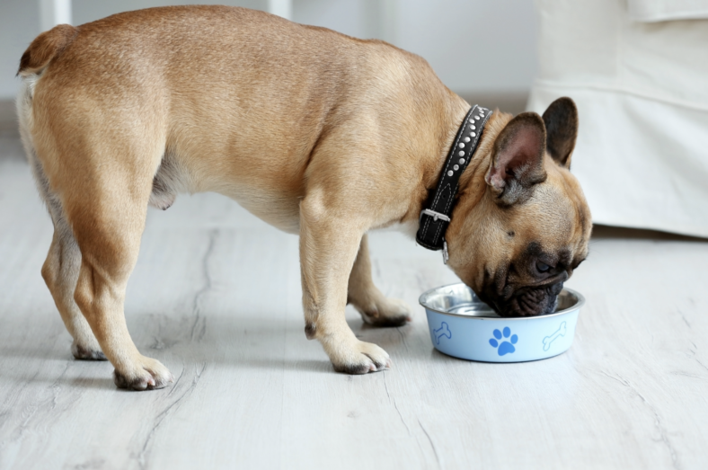 french bulldog raw diet Notes and Limitations