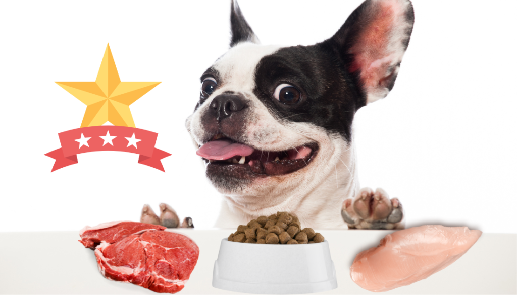 what can french bulldogs eat